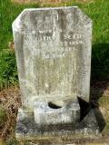 image of grave number 348502